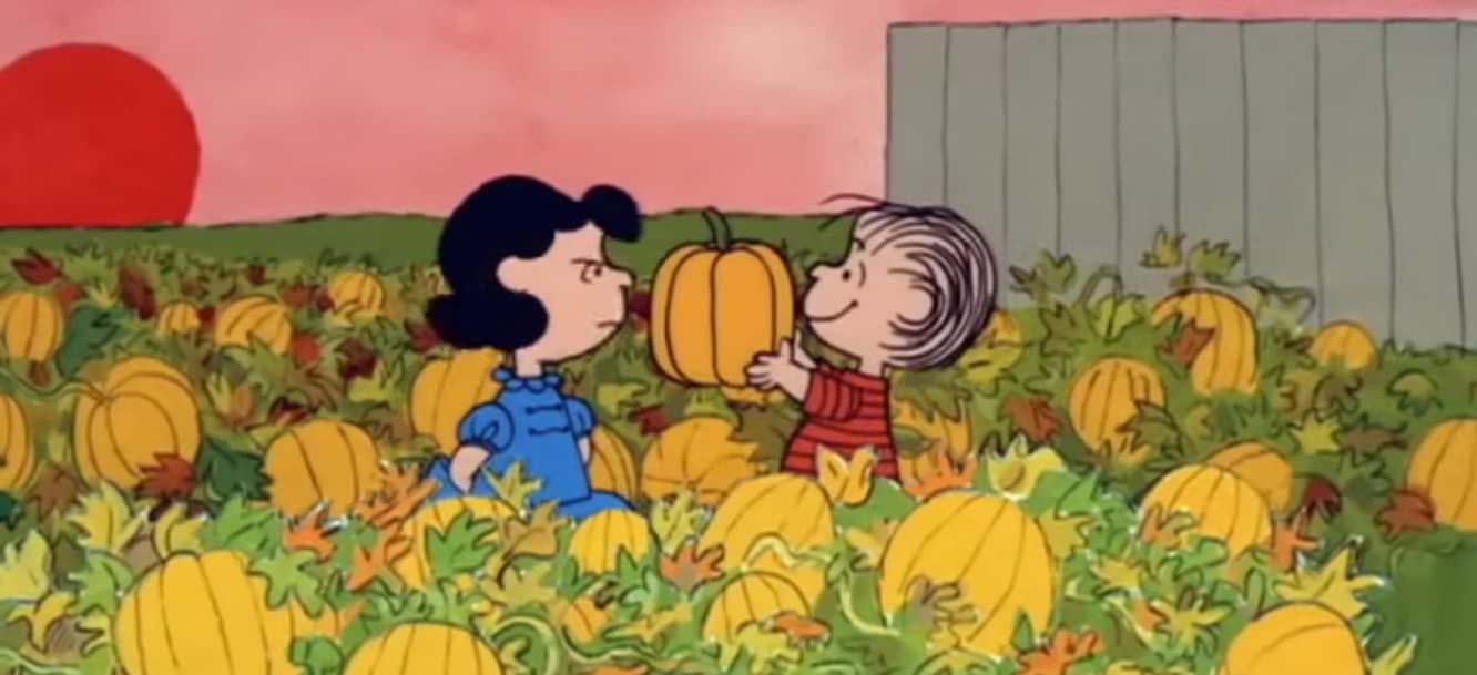 Two cartoon children in a pumpkin patch at sunset; one smiles and holds up a small pumpkin while the other looks unimpressed, with vines and a fence in the background. Image from It's the Great Pumpkin, Charlie Brown.